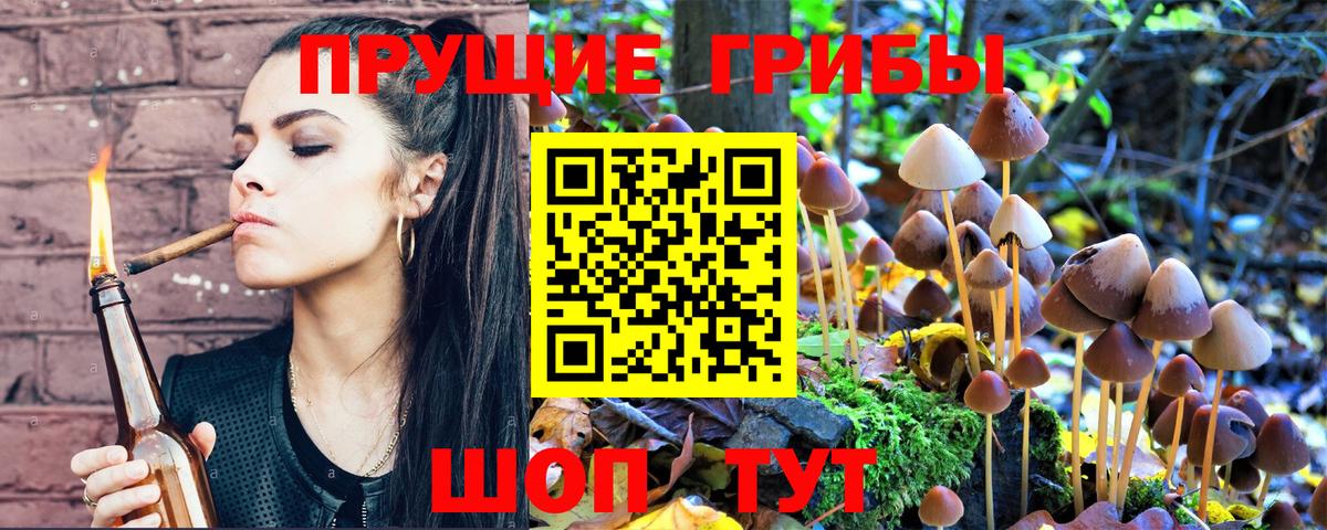 Галлюциногенные грибы Psilocybe  Вход с VPN  Ахтубинск 