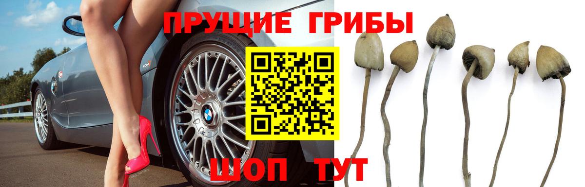 Псилоцибиновые грибы ЛСД Ахтубинск